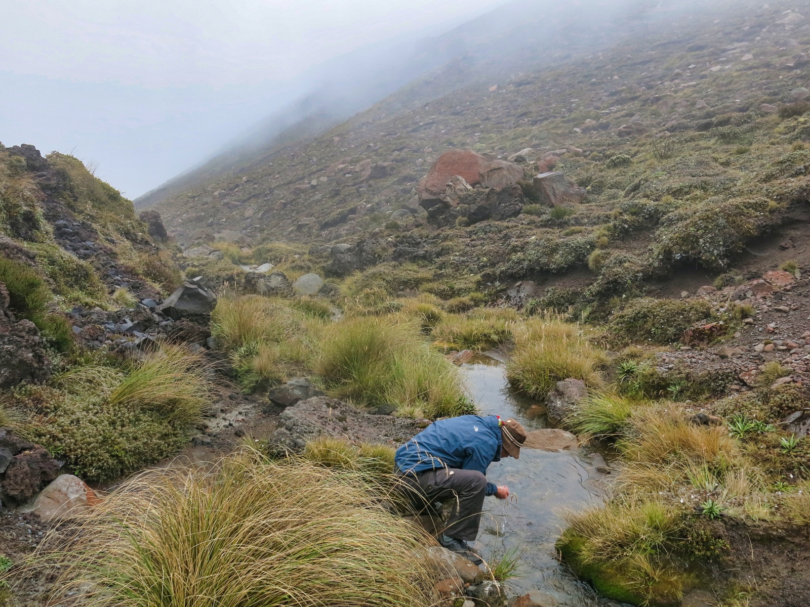 Tongariro National Park